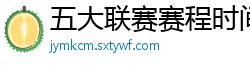 五大联赛赛程时间表2024年